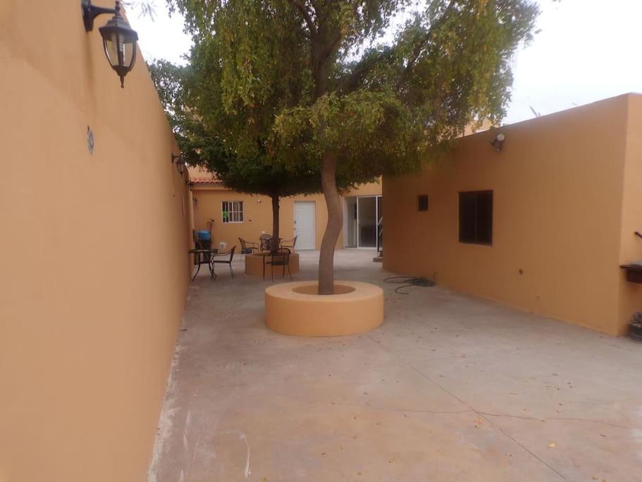 Apartamento 12 Con Dos Camas , A 200 Mts Del Vado Del Rio , Cerca Del Centro De Gobierno , Internet De Alta Velocidad 에르모시요 외부 사진